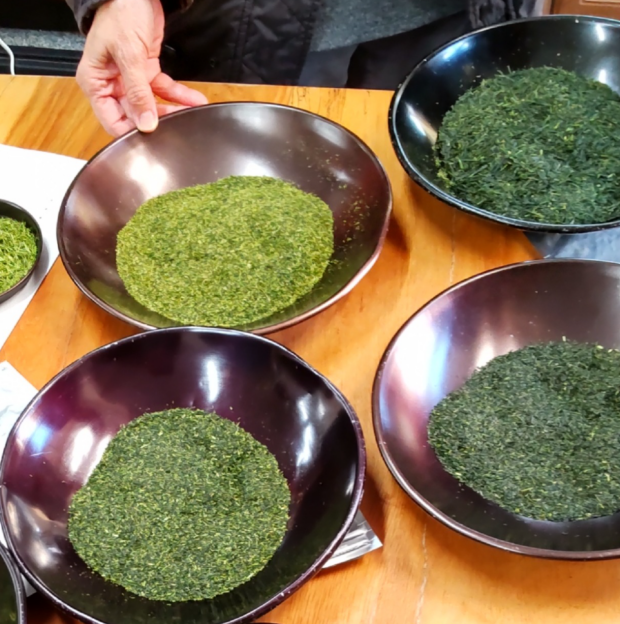 ＜2/27(金)開催＞「伊勢茶」の三銘茶種を飲み比べよう！