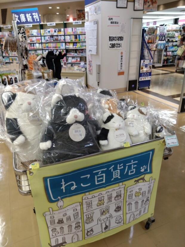 期間限定販売
